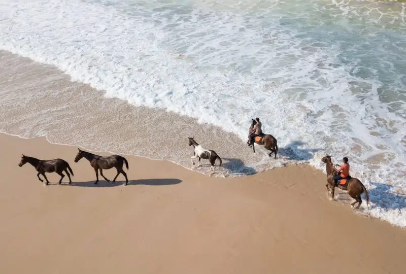 Hotel With Horses Coveñas Island