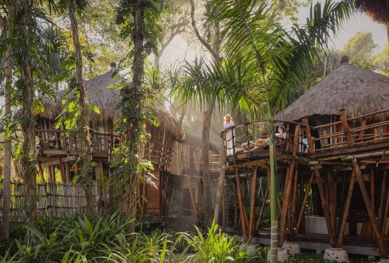 Hotel Portobello Coveñas Mamole Treehouse