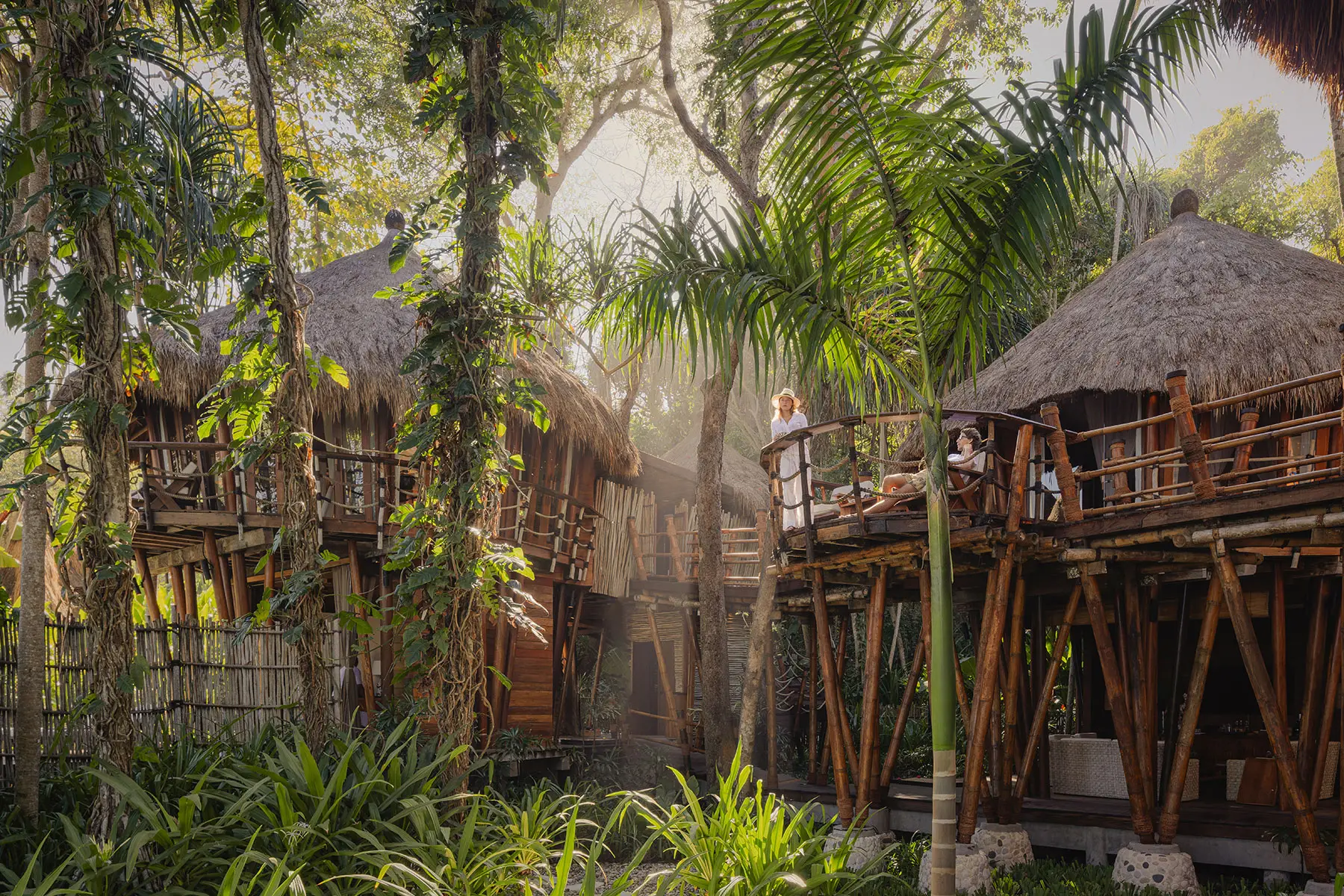 Hotel Portobello Coveñas Mamole Treehouse