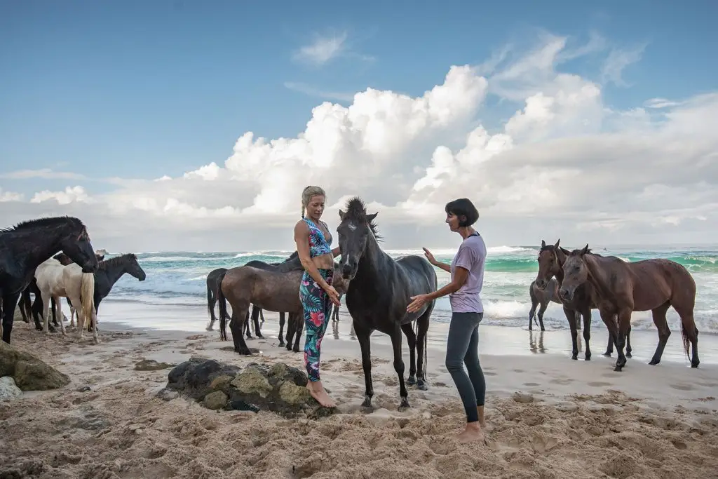 Coveñas hotel with horse yoga on the beach