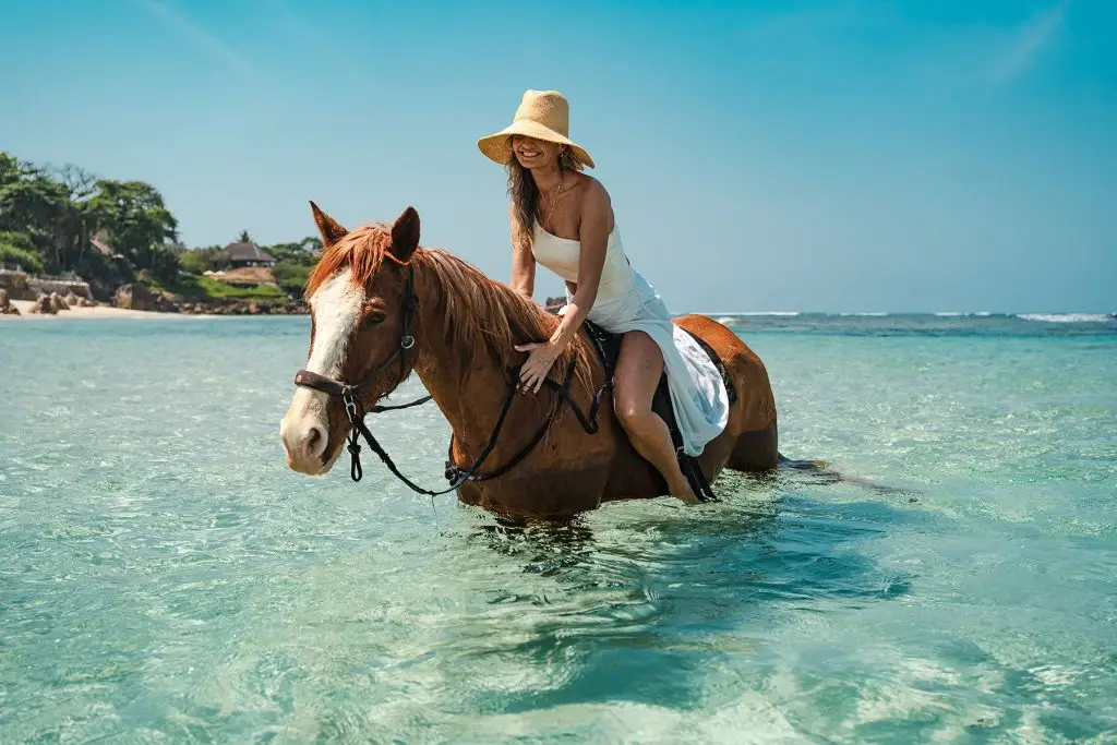 Swimming with horses