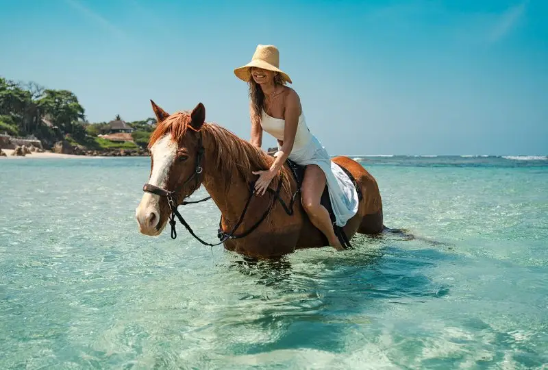Swimming With Horses