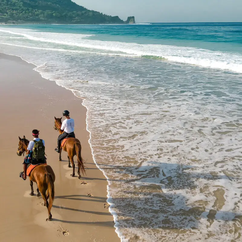 Horse Trail Riding Hotel Portobello Coveñas 3